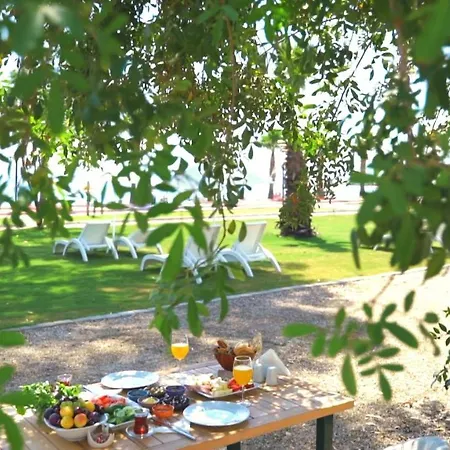 Aparthotel Dolunay &